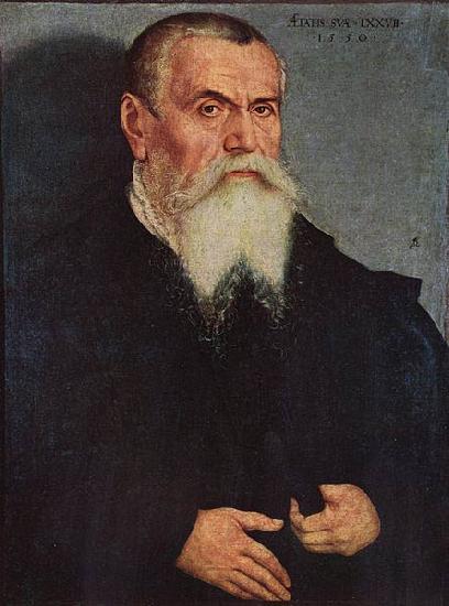 Lucas Cranach Selbstportrat im 77. Lebensjahr oil painting picture